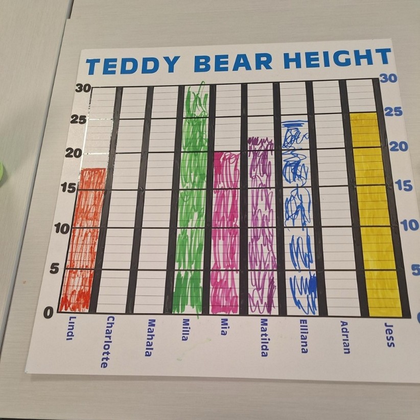 Figure 1 A bar graph showing the height of the teddy bears