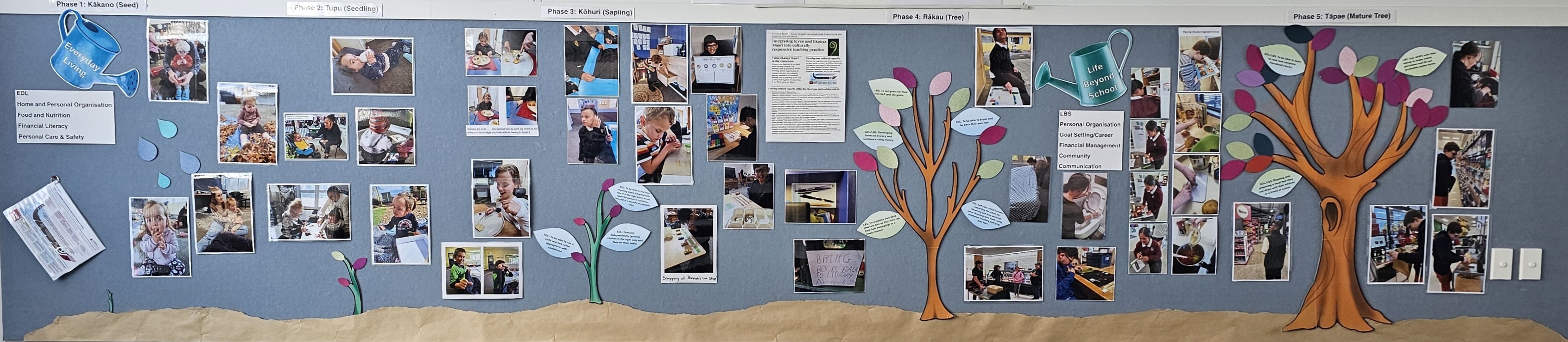 Figure 1 A wall display with photos and words on cards showing the Phases of learning from Phase 1 through to Phase 5