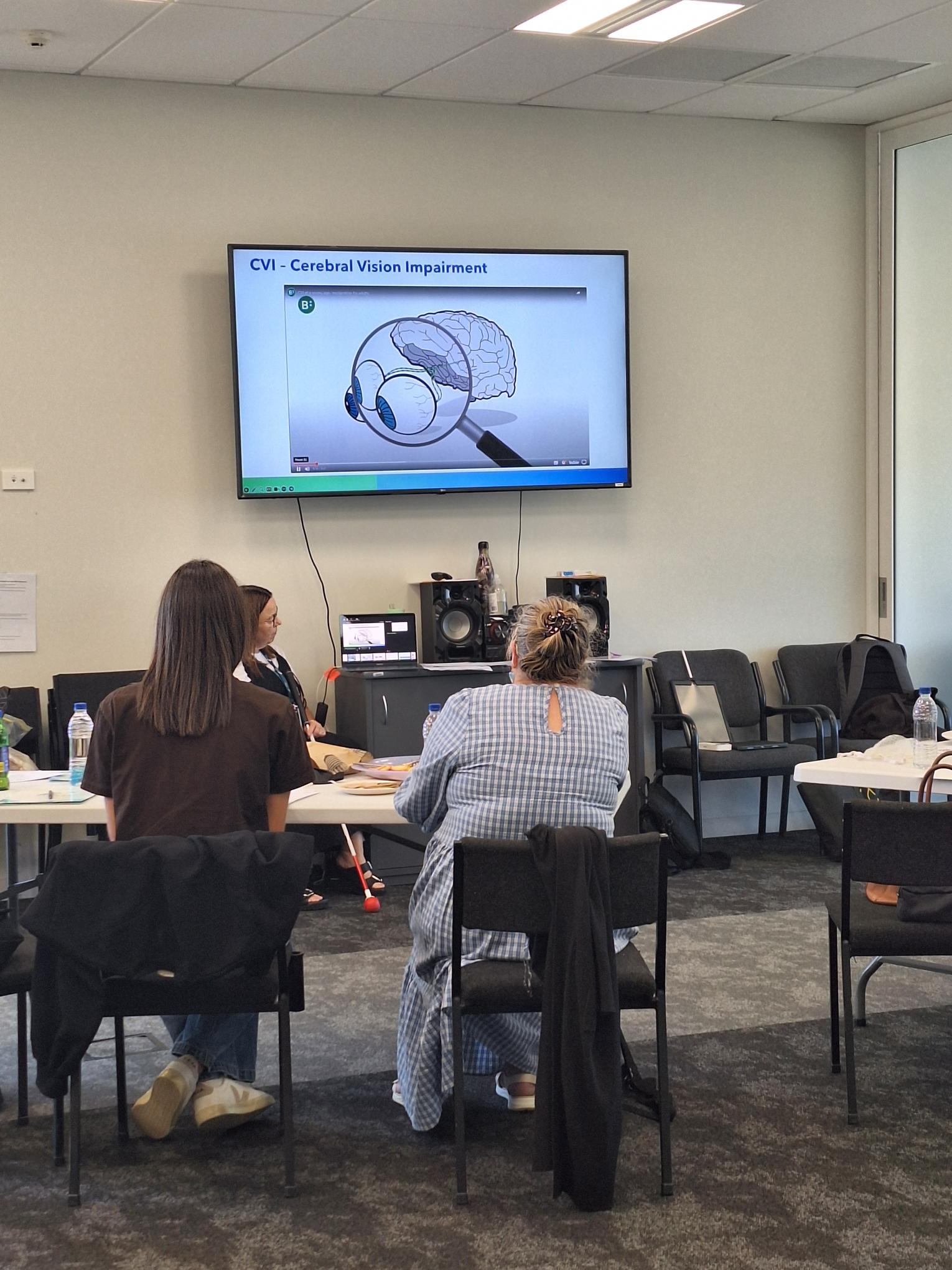 Figure 1 Participants watching a video about CVI